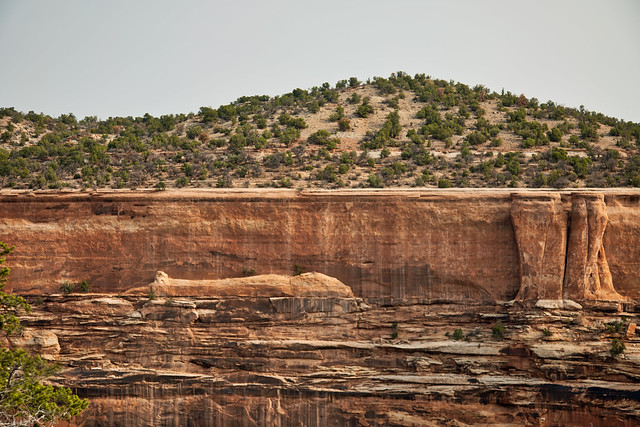 Mummy Rock in Ute Canyon - Colorado National Monument