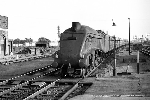 britishrailways gresley lner a4 462 60002 sirmurroughwilson steam passenger ecml huntingdon cambridgeshire train railway locomotive railroad