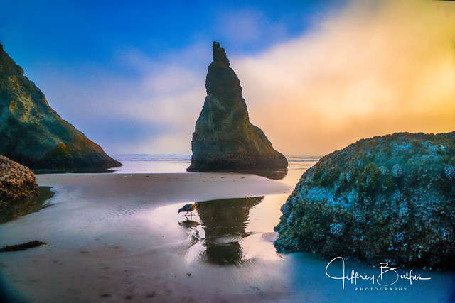 Sunset Sea Stack with Fog 9106-