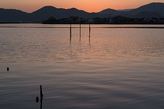 西の湖14・Lake Nishinoko
