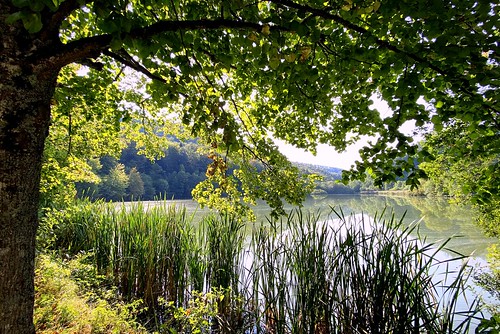 lake lucelle jura switzerland lacdelucelle landscape scenery landschaft iphone peterch51 lucellelake lakelucelle