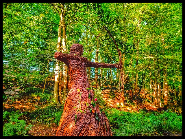 The lady of the woods