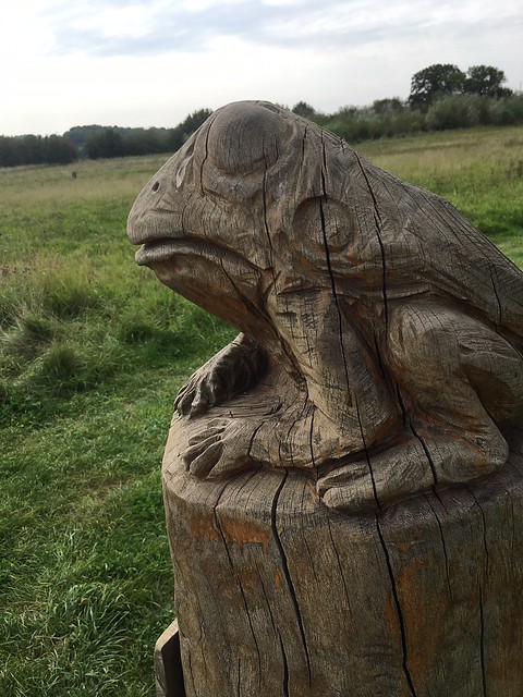 Frog, Heartwood Harpenden to St Albans 
