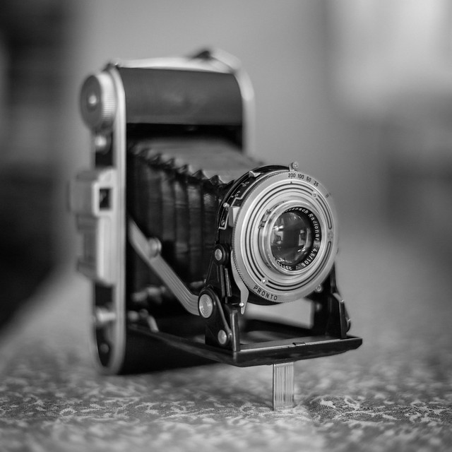 the beauty of vintage cameras