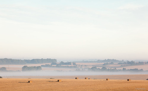 canoneos5dmarkii canonef200mmf28liiusm fields morning mist harvest haybales strawbales sunny agriculture landscape braughing uk atmospheric calm
