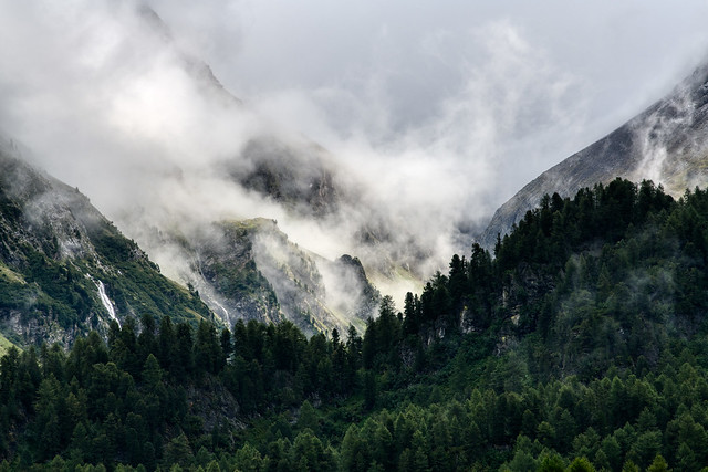 Maloja - misty mountains