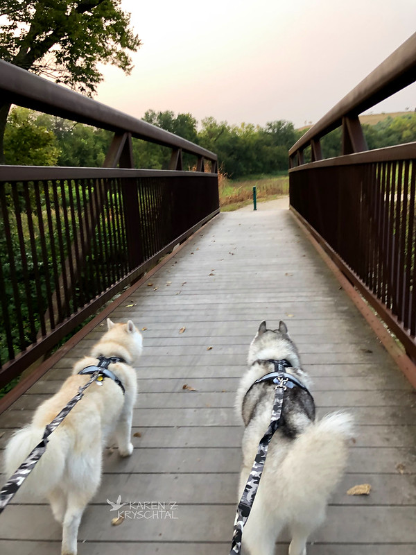 IMG_8064MagsRagnarWildcatCreekBridge