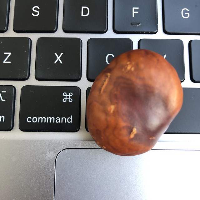 Command and Conker