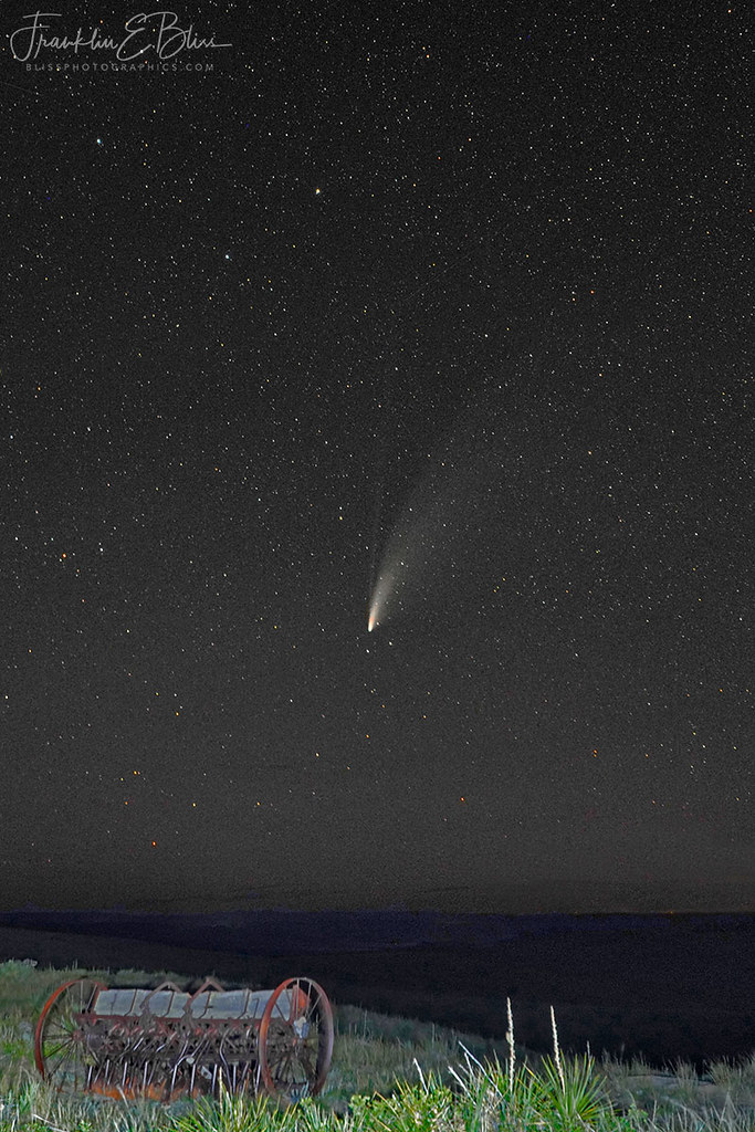 Comet Seeds Falling from Above