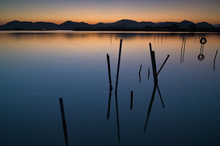 西の湖21・Lake Nishinoko