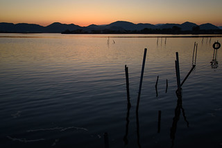 西の湖15・Lake Nishinoko