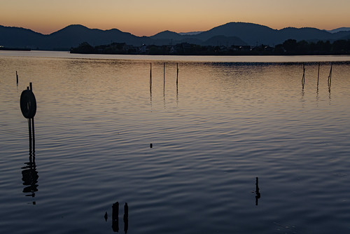 近江八幡市 滋賀県 japan 琵琶湖 湖 西の湖 夕景 sunset