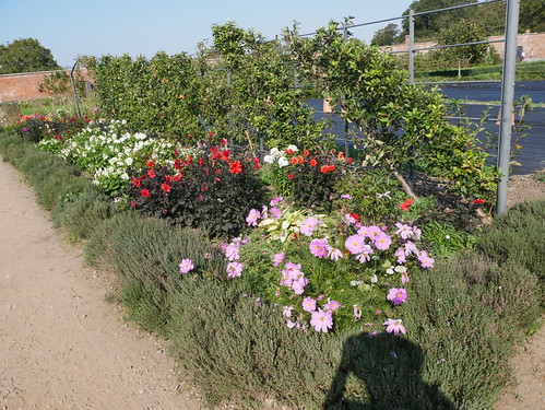 Floral Border