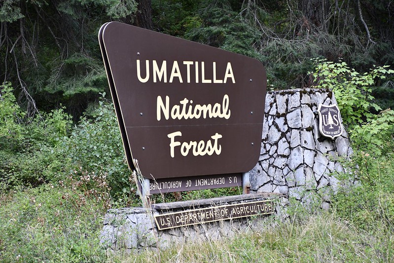 Woodland Campground ~ Umatilla National Forest