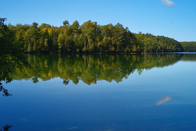 Our little lake...(Leica M8 + 35 mm f2.5 Voigtlander Color Skopar MC)