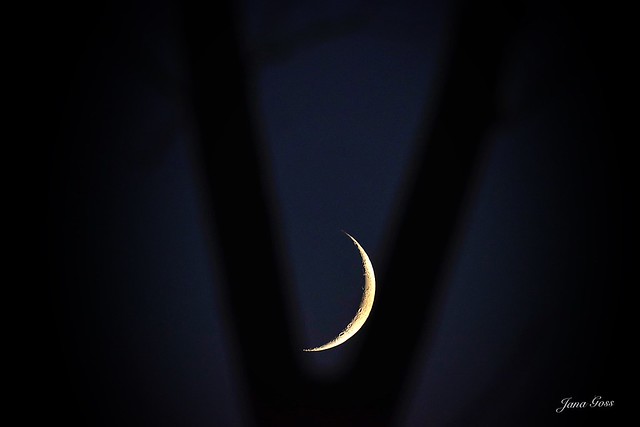 Waxing Crescent moon 6%