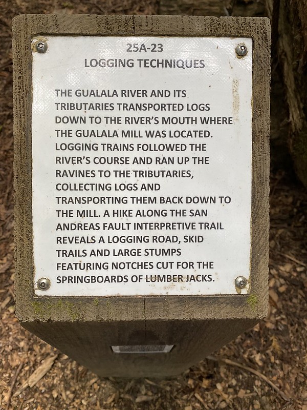 Logging Techniques