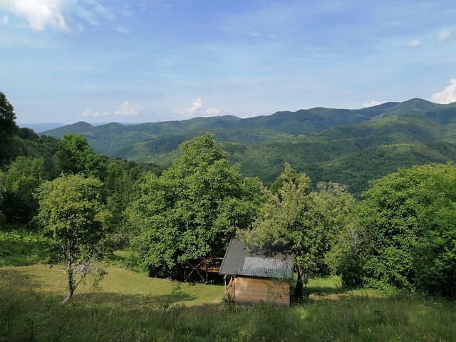 Carpathian Cottage