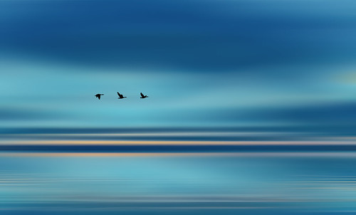 birds flying flight geese goose landscape seascape digital art glowing flowing glowingandflowing flowingandglowing