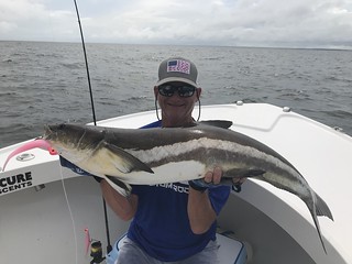 Photo of man holding a cobia in a boat