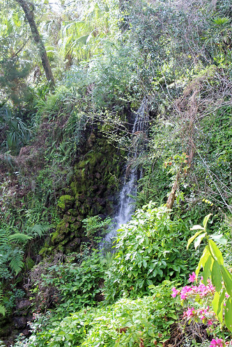 park landscape waterfall scenery florida dunnellon