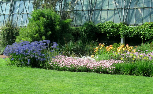 Edinburgh Botanic Gardens