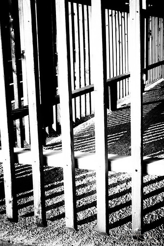 silverefexpro abstract bw fence photoshop shadow lawrencetown novascotia canada etsy monochrome blackandwhite blackandwhitephotography