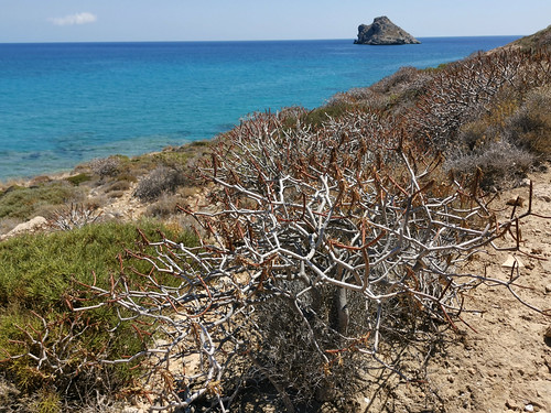 Coast of the Lybian Sea near Xerokampos (Trachilos Peninsula) with Kefali Island in the background 🇬🇷