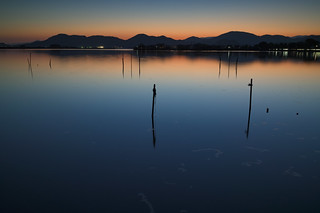 西の湖27・Lake Nishinoko