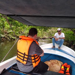 Mangrove boat ride in kalpitiya #kalpitiya #kalpitiyalagoon #boatride #boattour #mangroveboattrip #kalpitiyaboatride