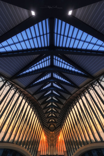 Gare de Lyon Saint-Exupéry by Stéphane Sélo Photographies & AI Creation, Lyon, France.architecture canon6dmarkii eté france gare garesaintexupéry irix11mmf4 lyon rhône aerop