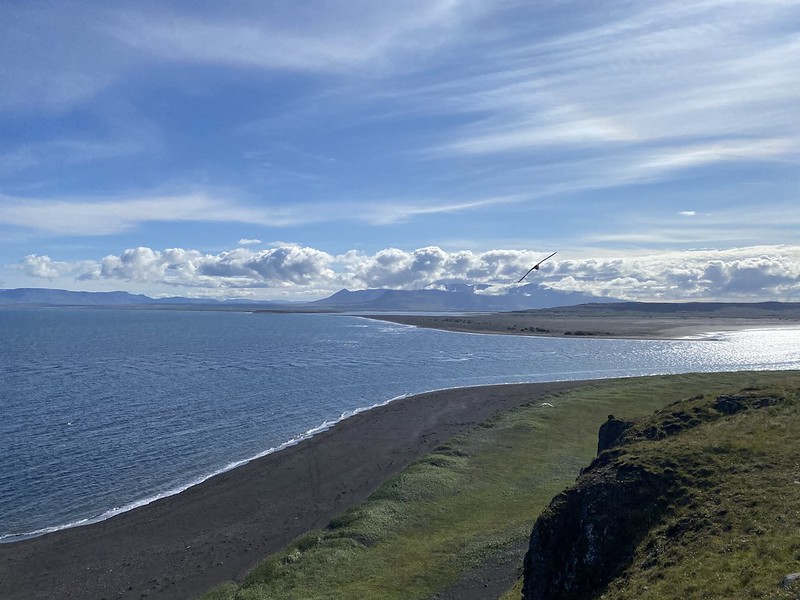 ISLANDIA en los tiempos del Coronavirus - Blogs de Islandia - Surcando el Norte entre cañones, troles y cascadas de dioses (11)