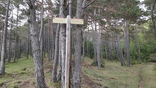 IMG_20200924_094038