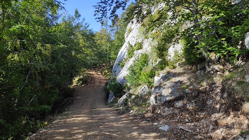 IMG_20200924_103026