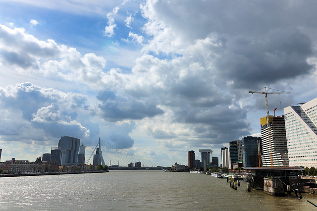 Rotterdam skyline.
