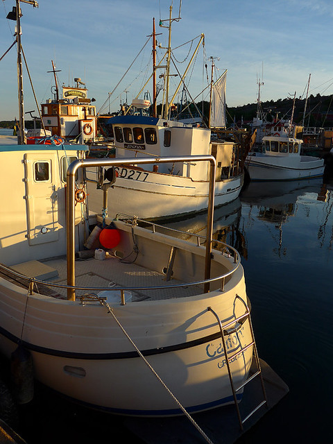 Boats in the harbour in late afternoon light