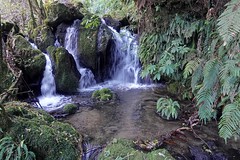 Te Wairoa Falls, Rotorua