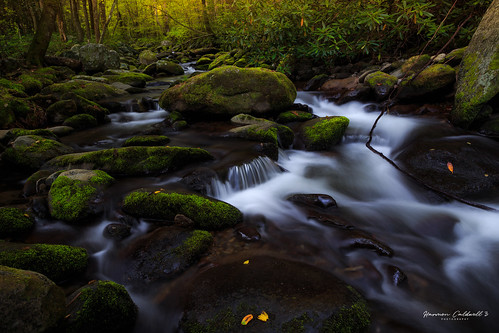 canon 6d l f4 landscape long exposure nature outdoor great smoky mountains national park gsmnp stream river creek roaring fork motor trail harmon caldwell 24105