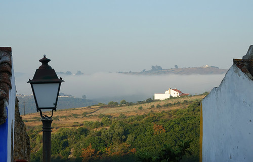portugal mafra paysages landscapes brumeux nature lampadaires lamps
