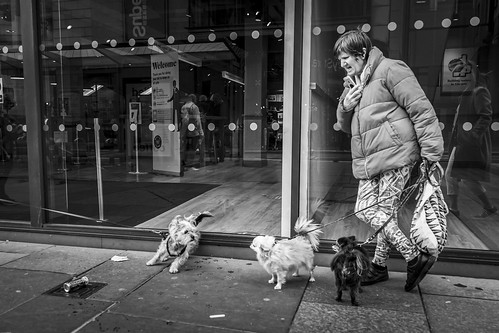 leanneboulton scotland street people urban candid portrait streetphotography candidstreetphotography candidportrait sociallandscape streetlife old woman female lady face eyes expression mood emotion feeling dog dogs pooch animal pet fight disagreement aggressive leash pawprints window store reflection action drama tone texture detail naturallight outdoors city scene human life canine living humanity society culture lifestyle canon canon5dmkiii 24mm wideangle ef2470mmf28liiusm black white blackwhite bw mono blackandwhite monochrome glasgow uk