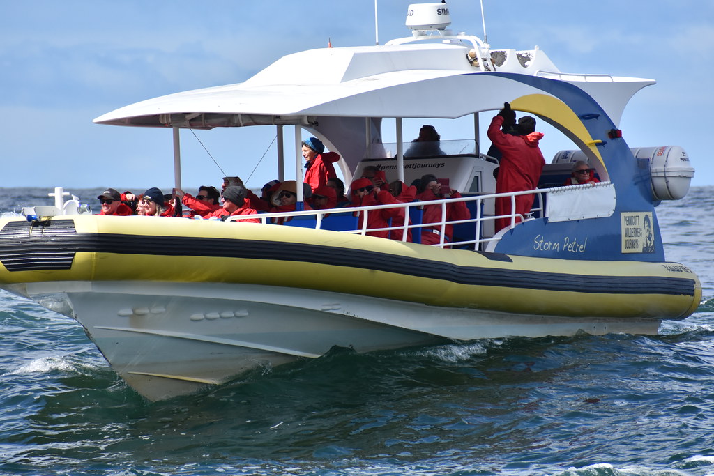pennicott boat tours port arthur
