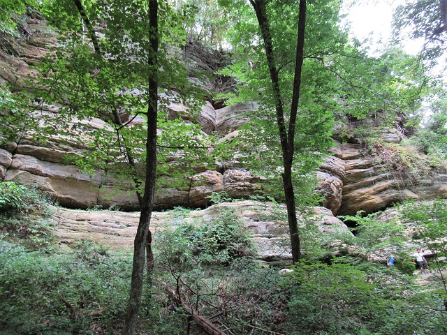 Cliffs and trees of St. Louis Canyon, Starved Rock State Park near Utica, Illinois