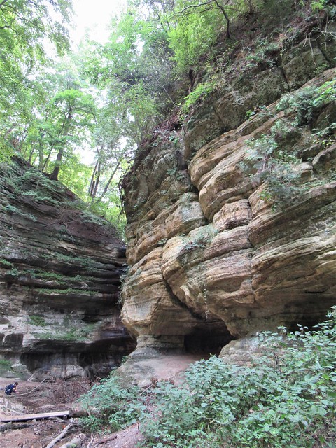 Eroded cliffs, St. Louis Canyon, Starved Rock State Park near Utica, Illinois
