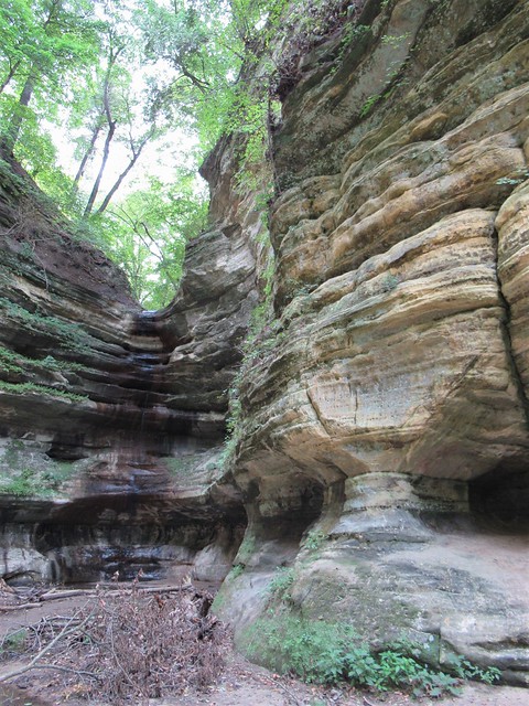 Cliffs and tiny waterfall, St. Louis Canyon, Starved Rock State Park near Utica, Illinois