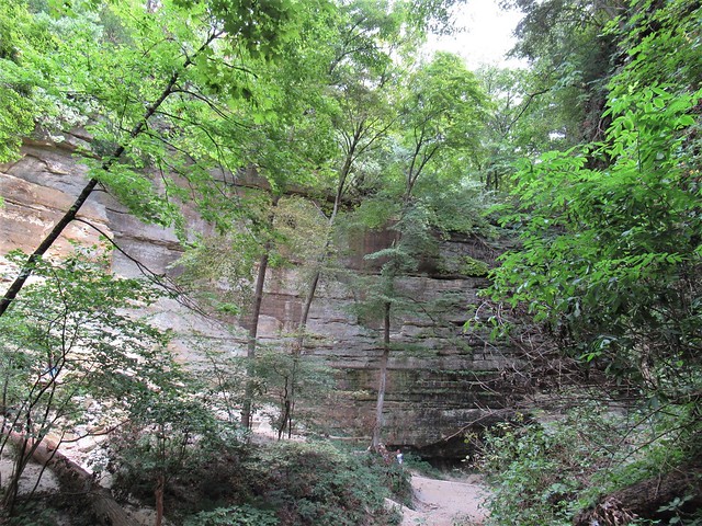 Sheer cliffs, walls of St. Louis Canyon, Starved Rock State Park near Utica, Illinois