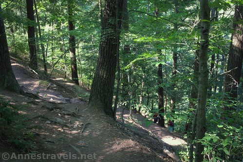 Some of the switchbacks on the Turkey Path, Colton State Park, Pennsylvania