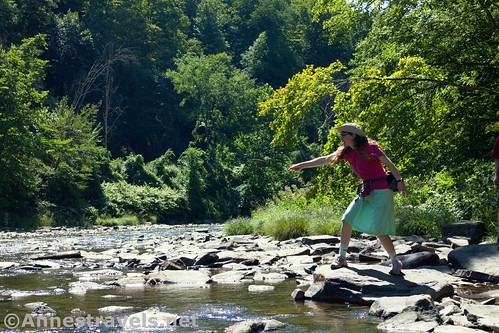 Skipping stones in Pine Creek, Colton Point State Park, Pennsylvania