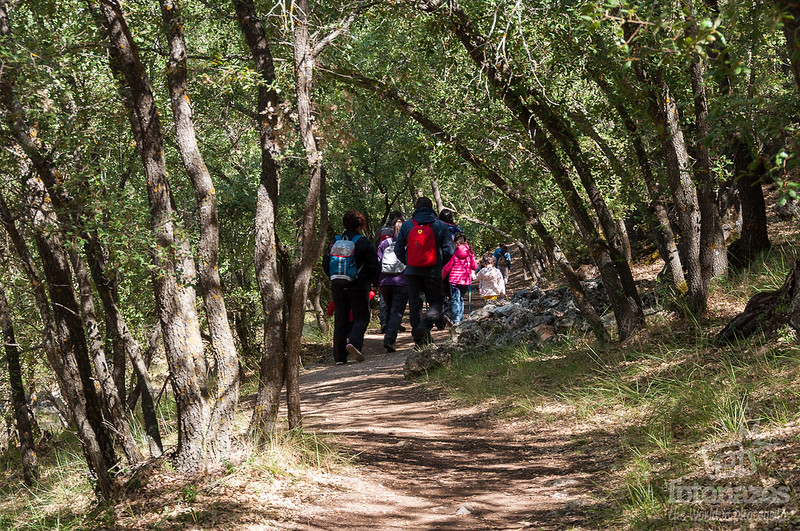 Ruta por el Bosque de Valdenazar en Yebes – Guadalajara