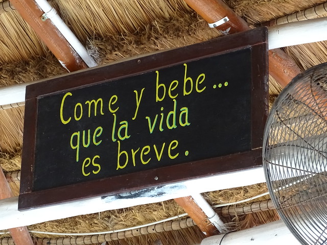 Come y Bebe - Eat and Drink ... Because Life Is Short - Restaurant Sign - Playa del Carmen - Quintana Roo - Mexico