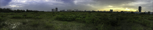 noida uttarpradesh urban urbanforests nature outdoors panorama sunset monsoons